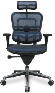 1. Ergohuman ME7ERG Chair ( High Back Chair )