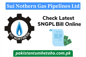 SNGPL Online Bill Check