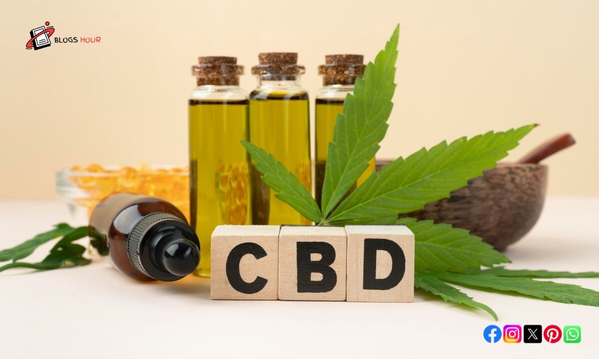 CBD's Ascendance: A Detailed Guide to Its Growing Influence